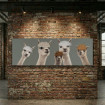 Pintura Llamas Lienzo 150 X 3,50 X 50 Cm
